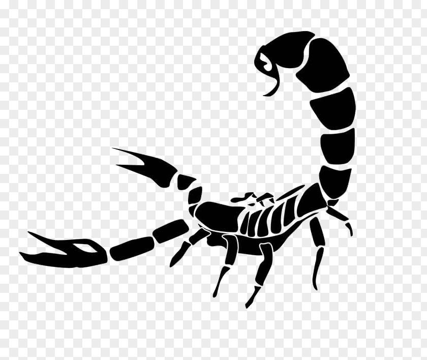 Scorpion Tattoo Clip Art Transparency PNG