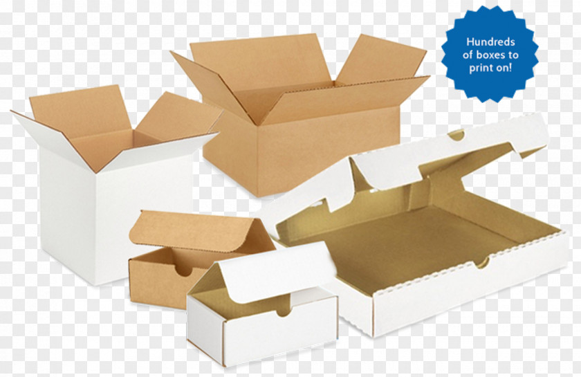 Box Pizza Plastic Bag Parvat Patia PNG