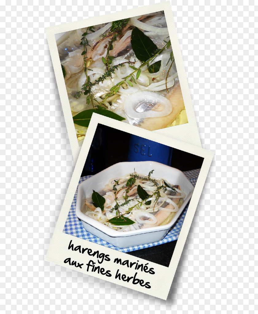 Cooking Dish Pickled Herring Recipe Cuisine PNG