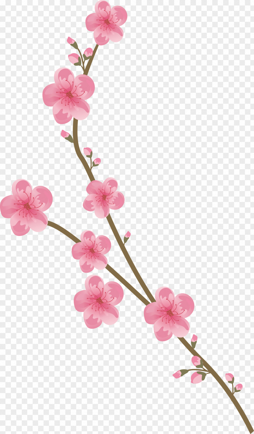 Flowers Floral PNG