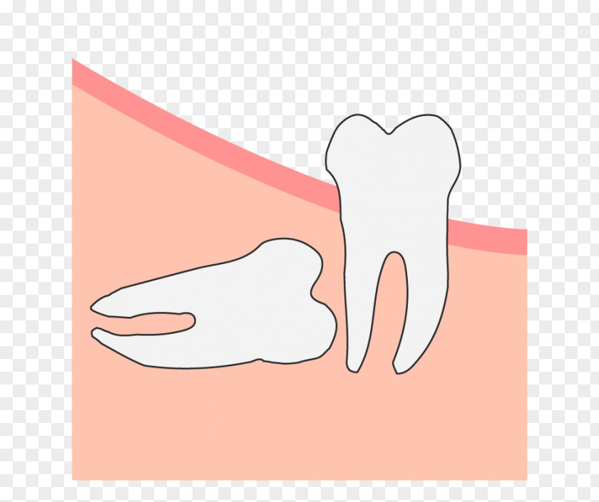Ear Thumb Hand Model Tooth Clip Art Jaw PNG