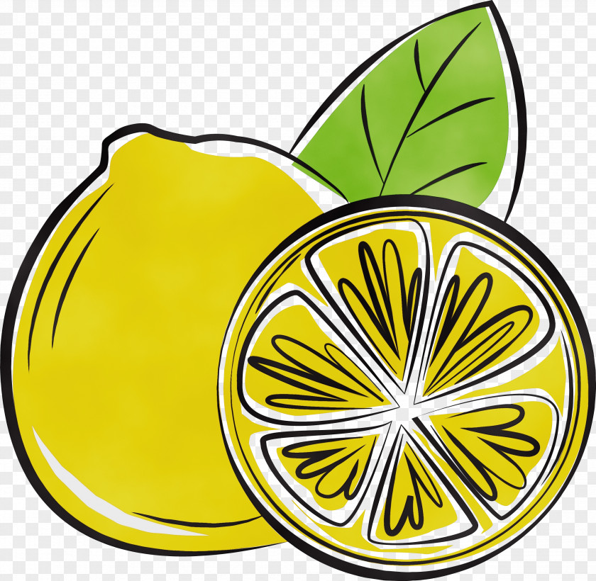 Flower Leaf Fruit Yellow M-tree PNG