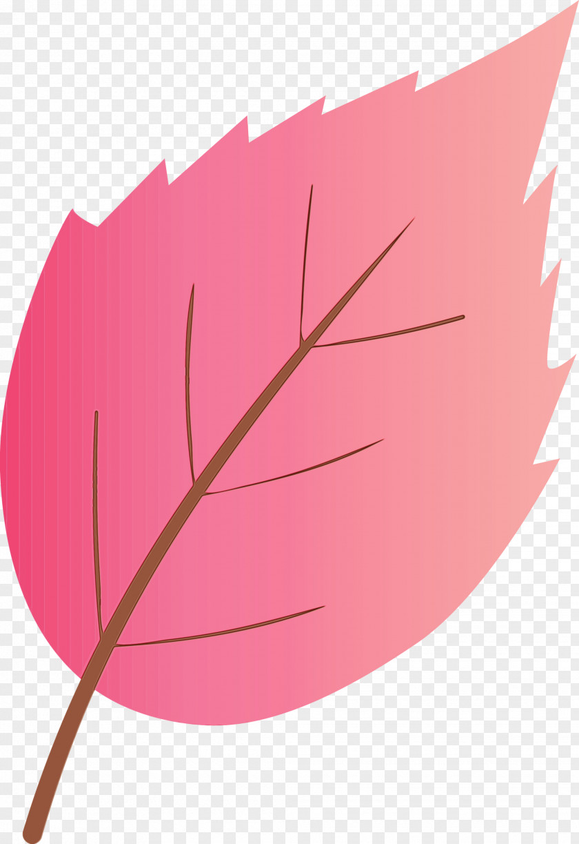Leaf Pink Plant Tree Flower PNG