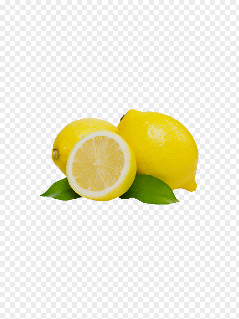 Lemon Lemonade Clip Art PNG