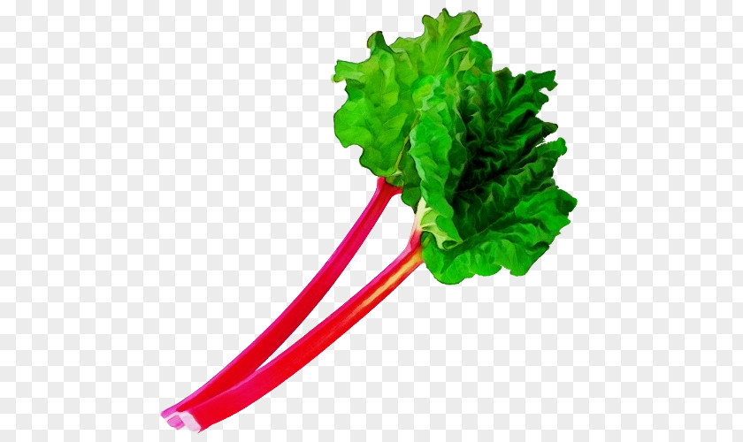 Vegetarian Food Plant Vegetable Green Leaf Chard PNG
