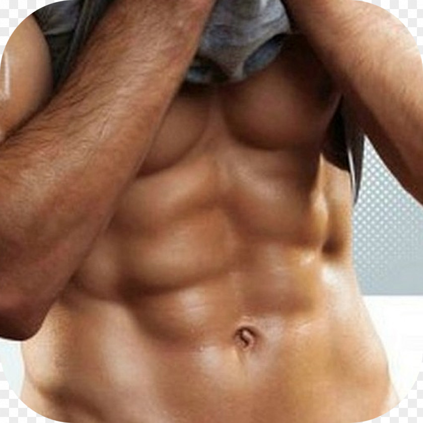 Abdominal Exercise Rectus Abdominis Muscle Male Fitness Centre PNG