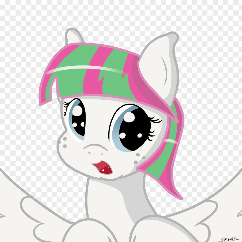 Blossomforth My Little Pony Whiskers Derpy Hooves PNG