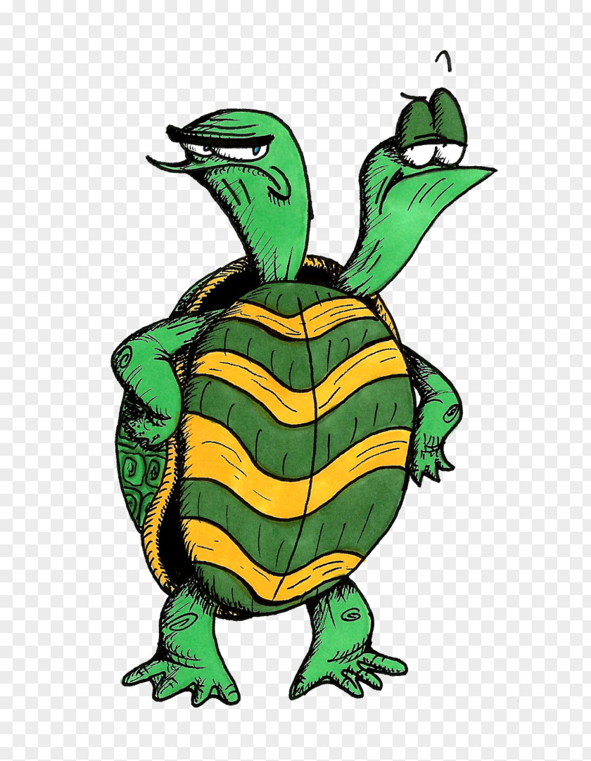 Buckle Clipart Common Snapping Turtle Cartoon Tortoise Clip Art PNG