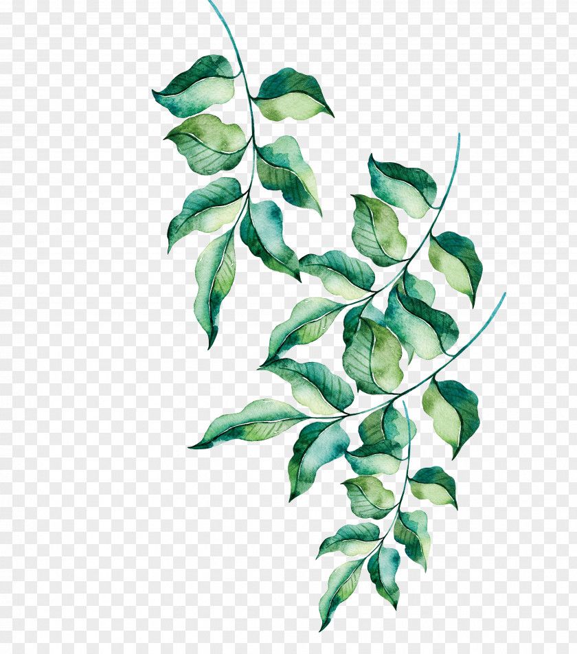 Hand Painted Green Leaves Qingming Euclidean Vector Taobao PNG