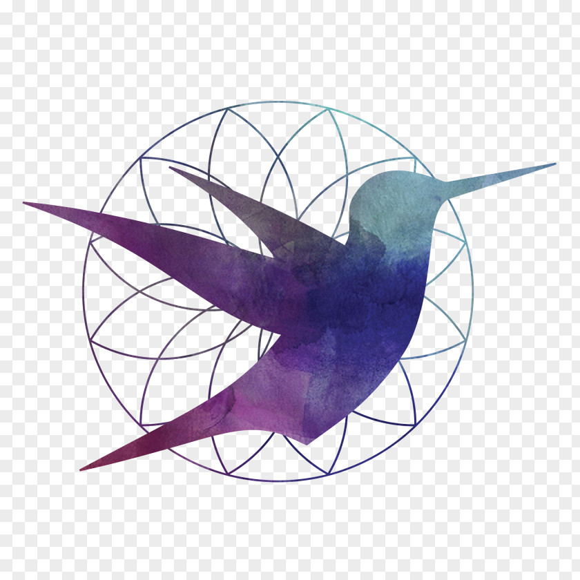 Hummingbird Wing Logo PNG