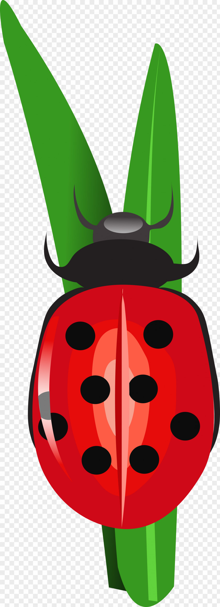 Longhorn Insect Coccinella Volkswagen Beetle PNG