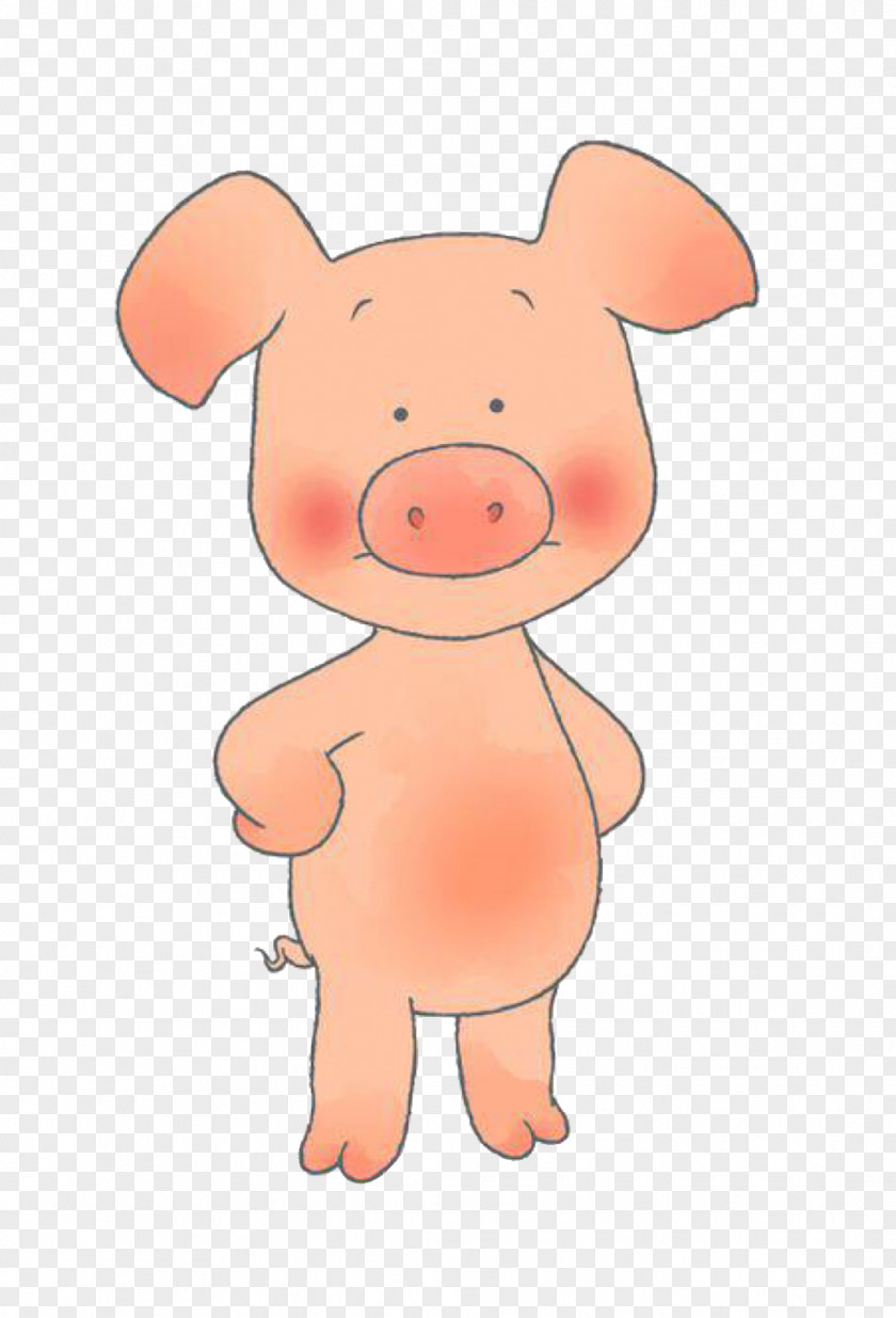 Pig Wibbly Kipper The Dog Image PNG