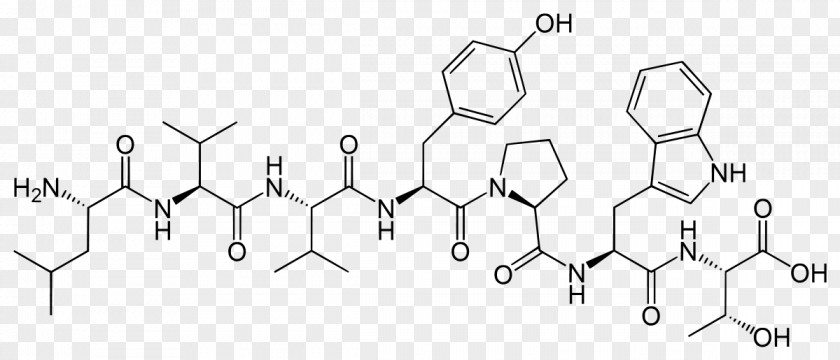 Proteolysis Targeting Chimera Targeted Therapy Ubiquitin Ligase Protein PNG