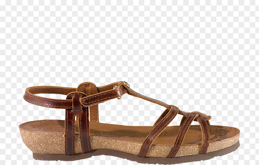 Sandal Panama Jack Leather Shoe Footwear PNG