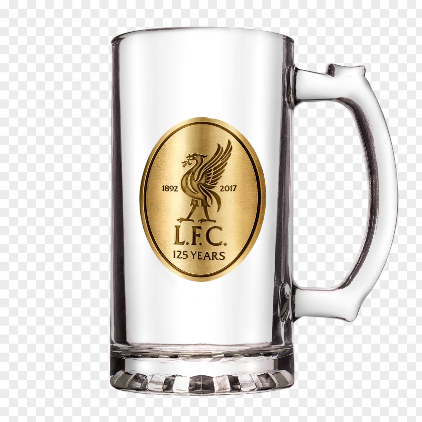 Beer Stein Pint Glass PNG