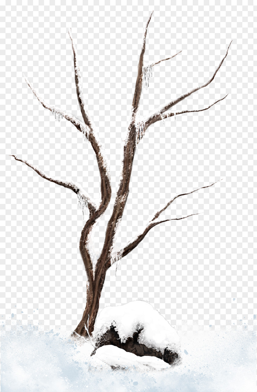 Brown Winter Snowy Tree Clipart Picture Branch Snow Clip Art PNG