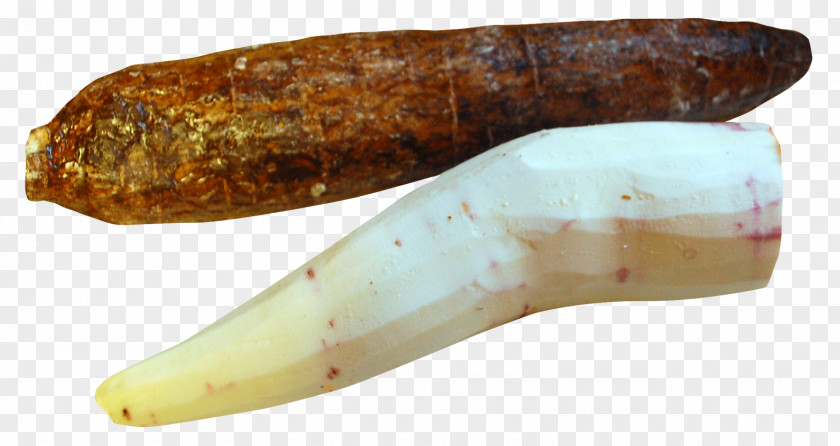 Cassava Peeled Fruit Food PNG