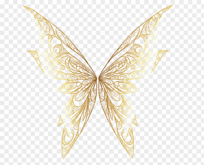 Golden Link Butterfly Insect Wing Moth Animal PNG