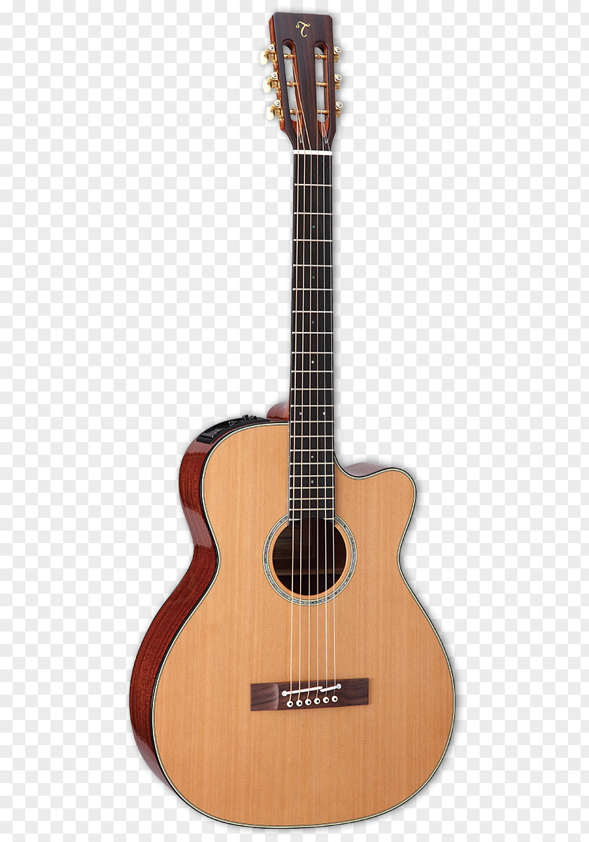 Takamine Acoustic Guitar Classical Steel-string Electric PNG