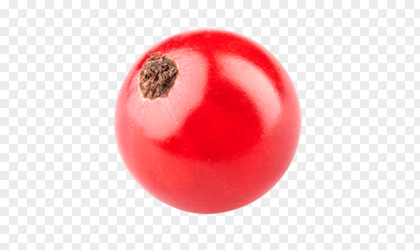 Tomato Redcurrant Fruit Berry PNG