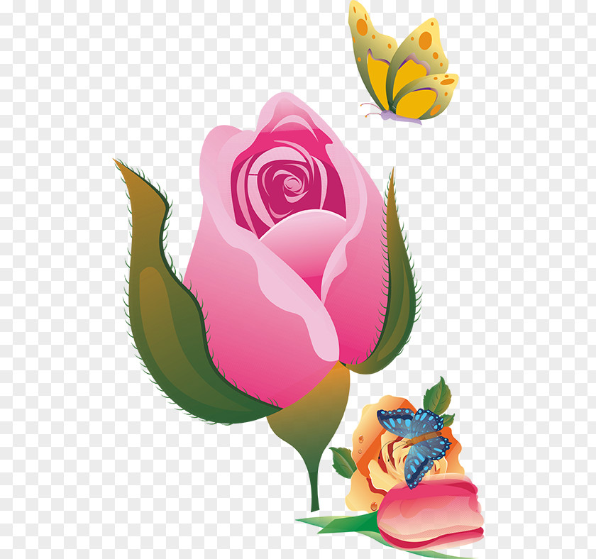 Vector Flowers Garden Roses Flower PNG