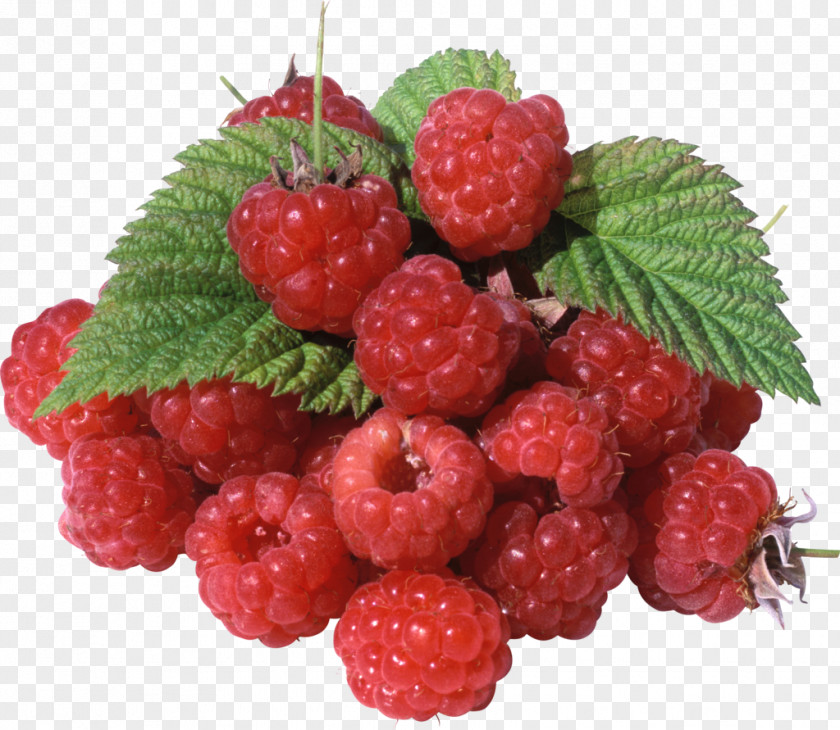 3d Vector Pattern Raspberry Red Mulberry Fruit Strawberry PNG