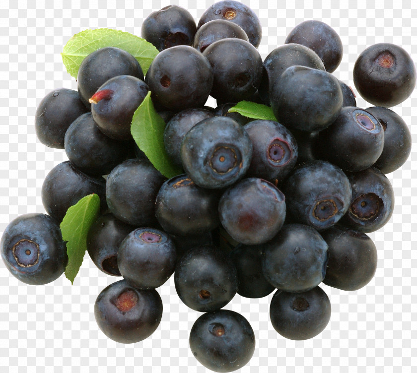 Blueberries European Blueberry Vaccinium Uliginosum Fruit PNG