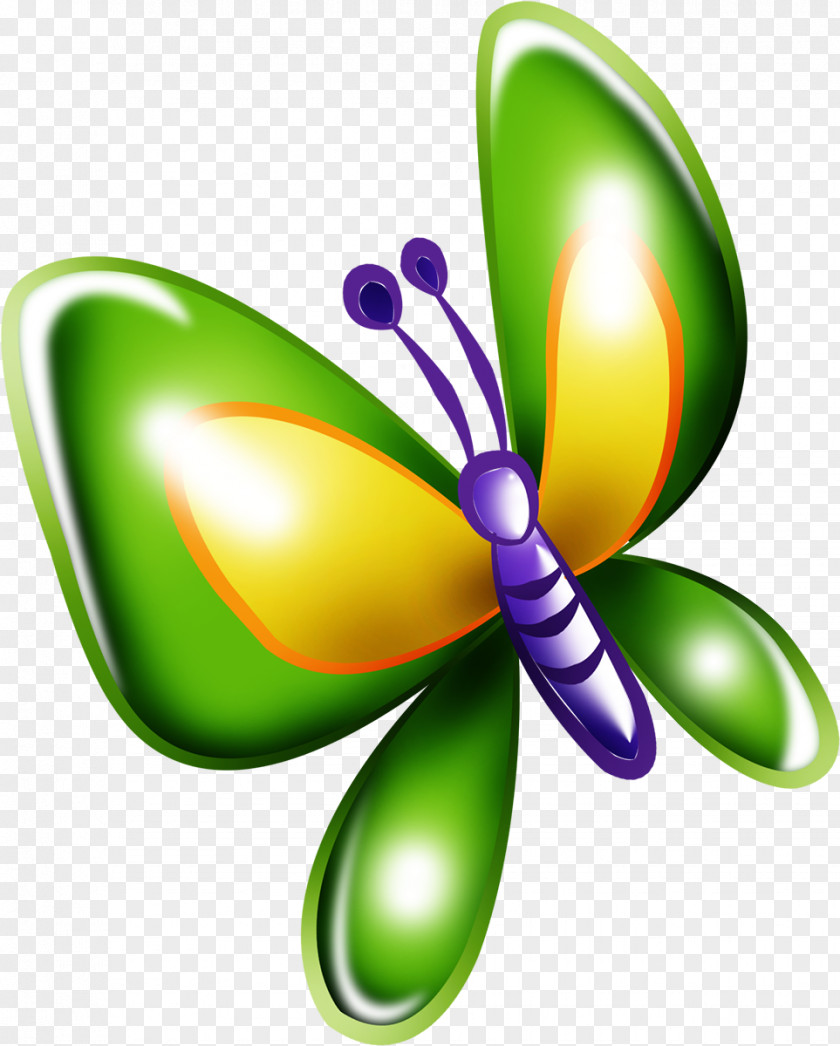 Butterfly Insect Clip Art PNG