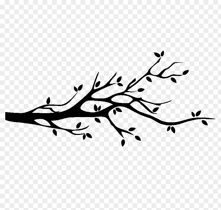 Design Twig Branch Tree Sticker PNG