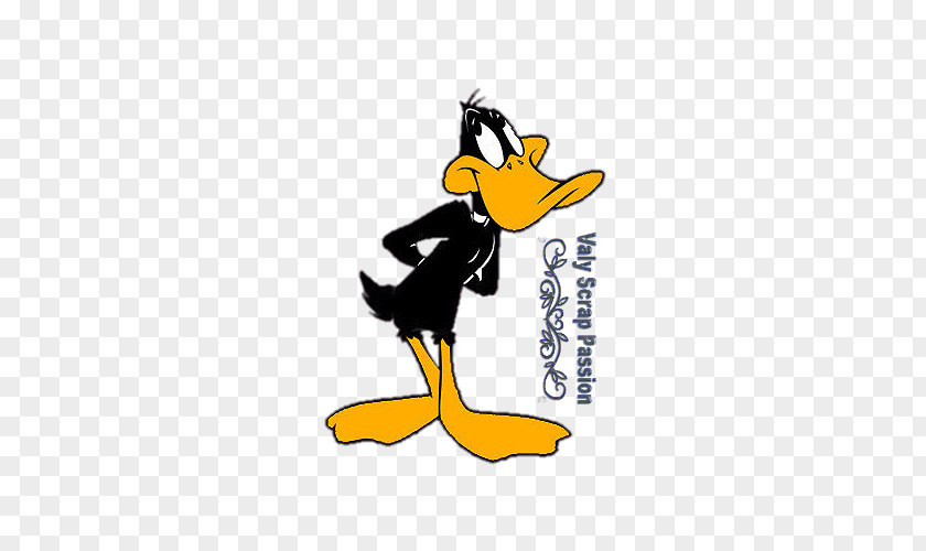 Duck Clip Art Logo The5 Cartoon PNG