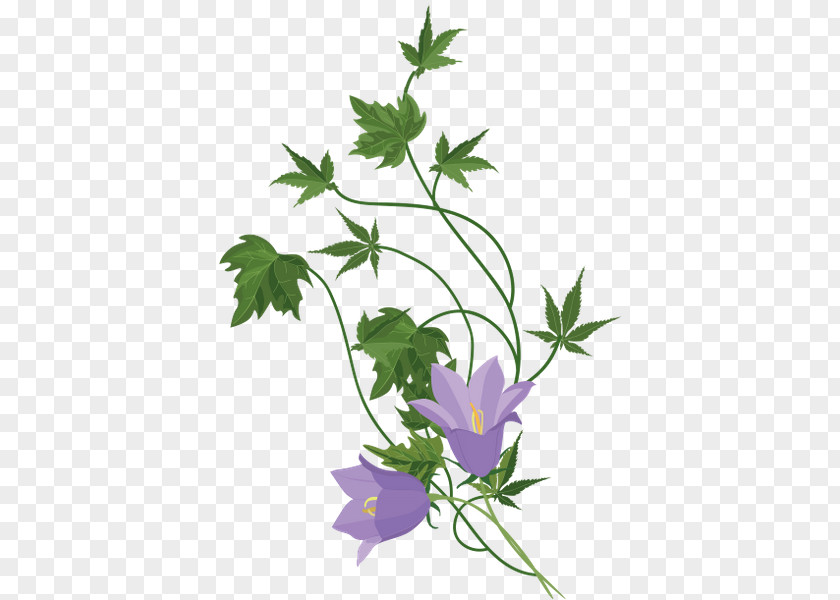 Flower Flowerpot Clip Art PNG
