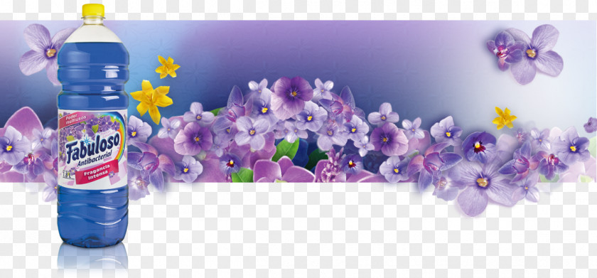 Lavanda Lavender Cleaning Axion Violet PNG