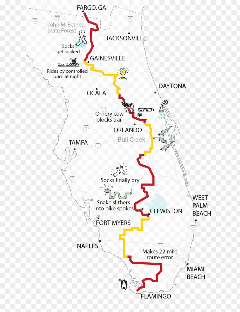 Line Point Map Tuberculosis PNG