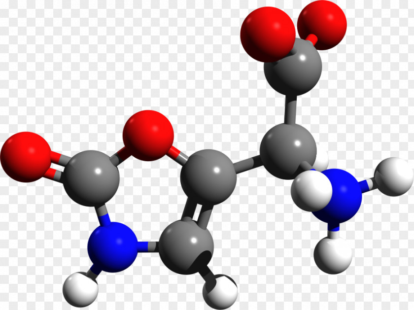 Mushrooms Ergometrine Ergoline Ergotamine Lysergic Acid Diethylamide Oxytocin PNG