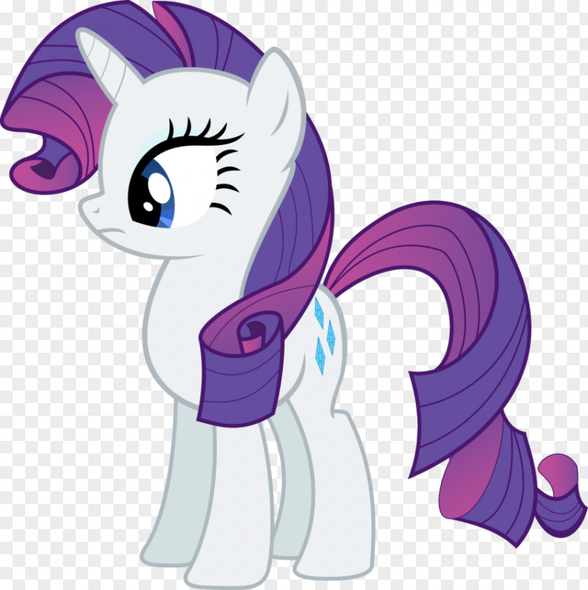 My Little Pony Rarity Rainbow Dash Twilight Sparkle Pinkie Pie PNG