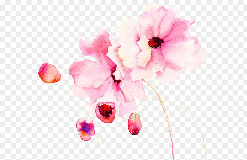 Painting Watercolour Flowers Watercolor Stock Photography Royalty-free PNG