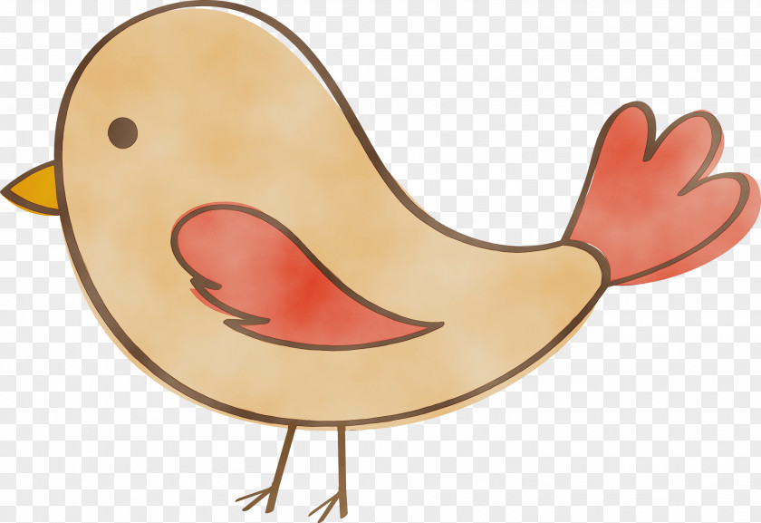 Rooster Birds Beak Water Bird Biology PNG