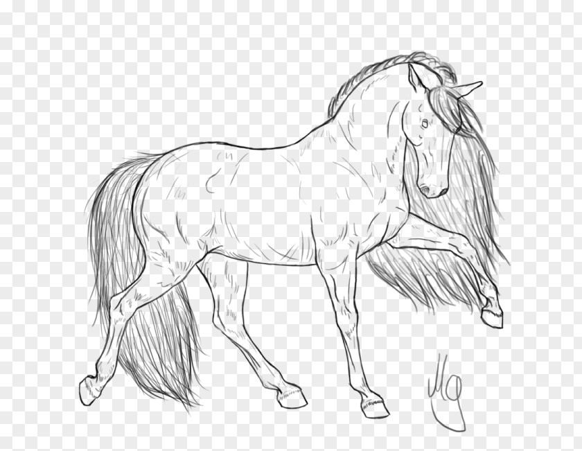 Standardbred Friesian Horse Pony Foal Coloring Book PNG