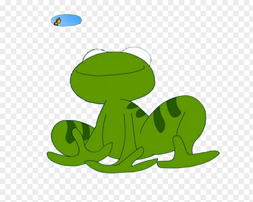 The Cartoon Frog Drawing PNG