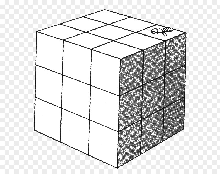 Wood Cube Rubik's Color PNG