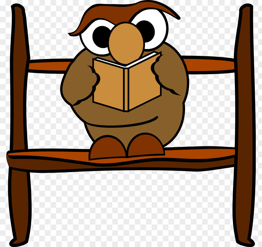 Cartoon Owl Face Reading Clip Art PNG