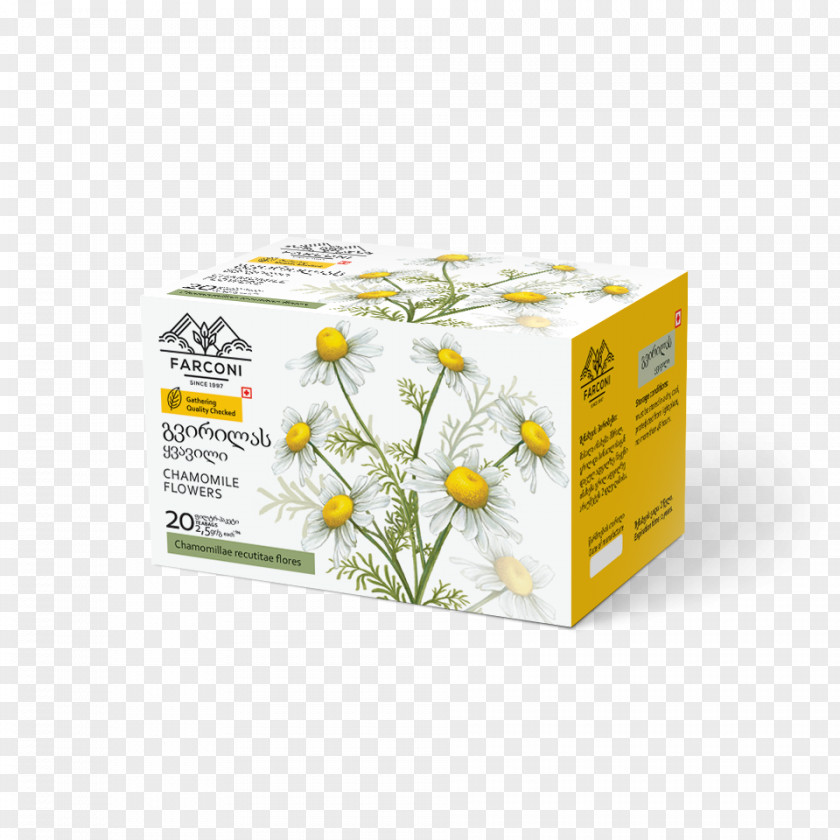 Chamomile Flower Plant PNG