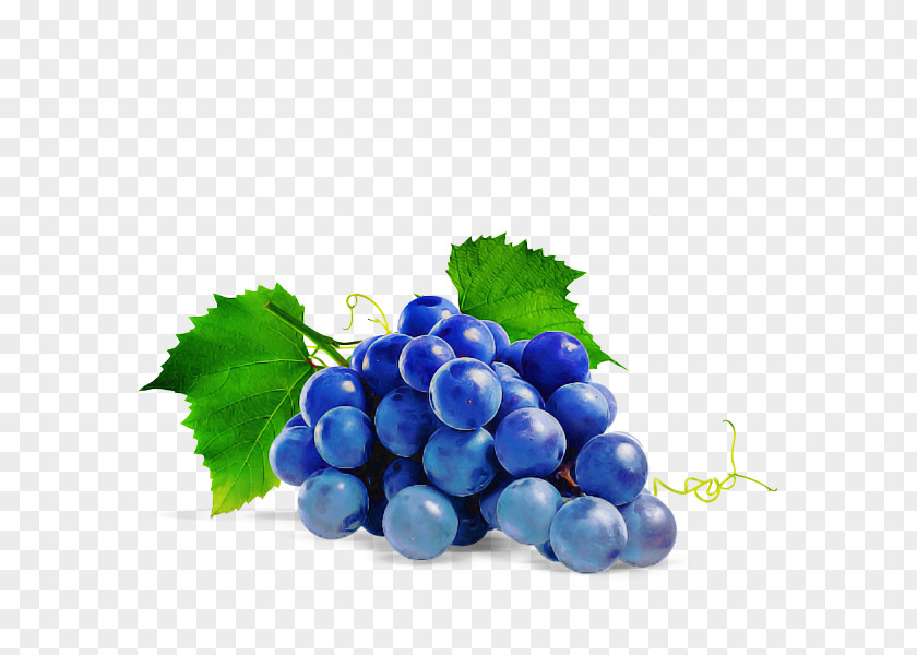 Grape Seedless Fruit Grapevine Family Berry PNG