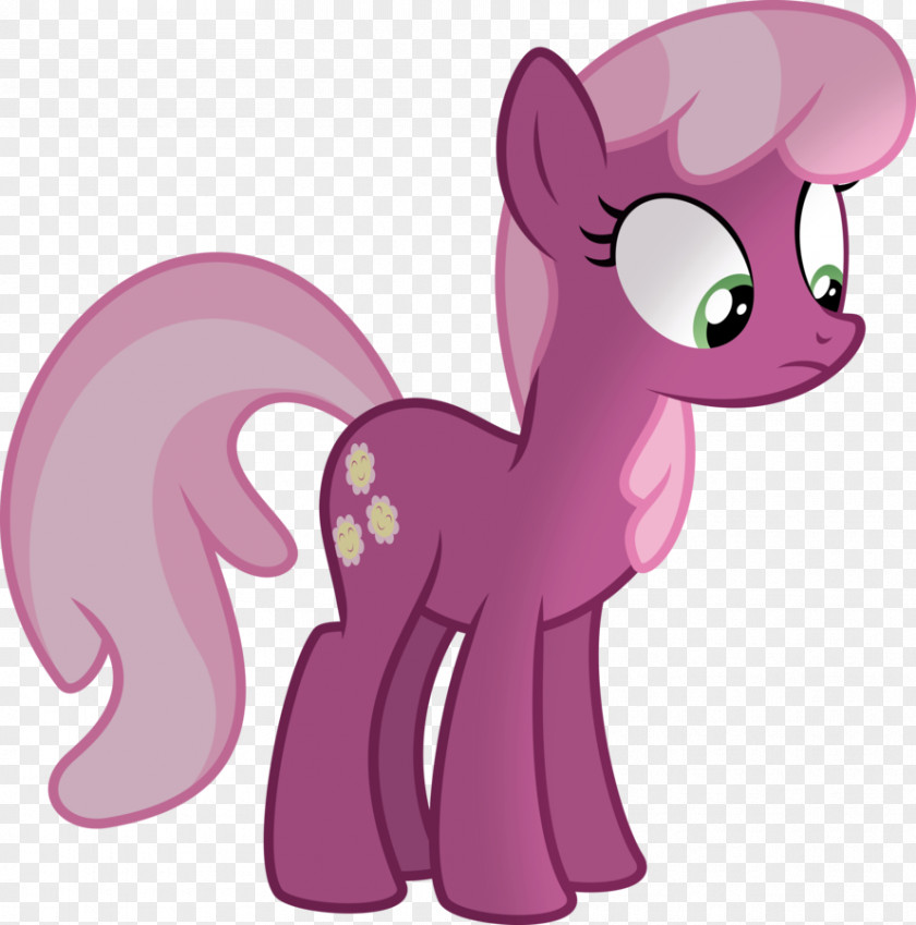 My Little Pony Cheerilee Derpy Hooves PNG