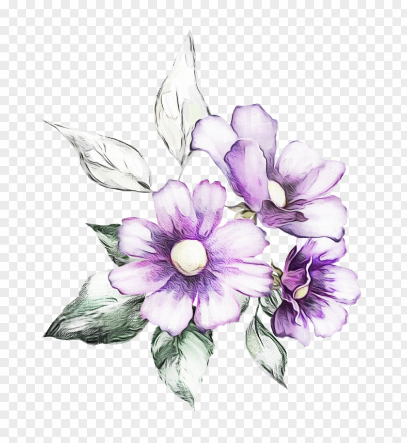 Wildflower Flowering Plant Flower Violet Petal Purple PNG