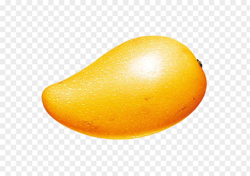 Yellow Mango Tropical Fruit PNG