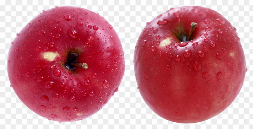 Apple 審美歯科 Dentist Food PNG