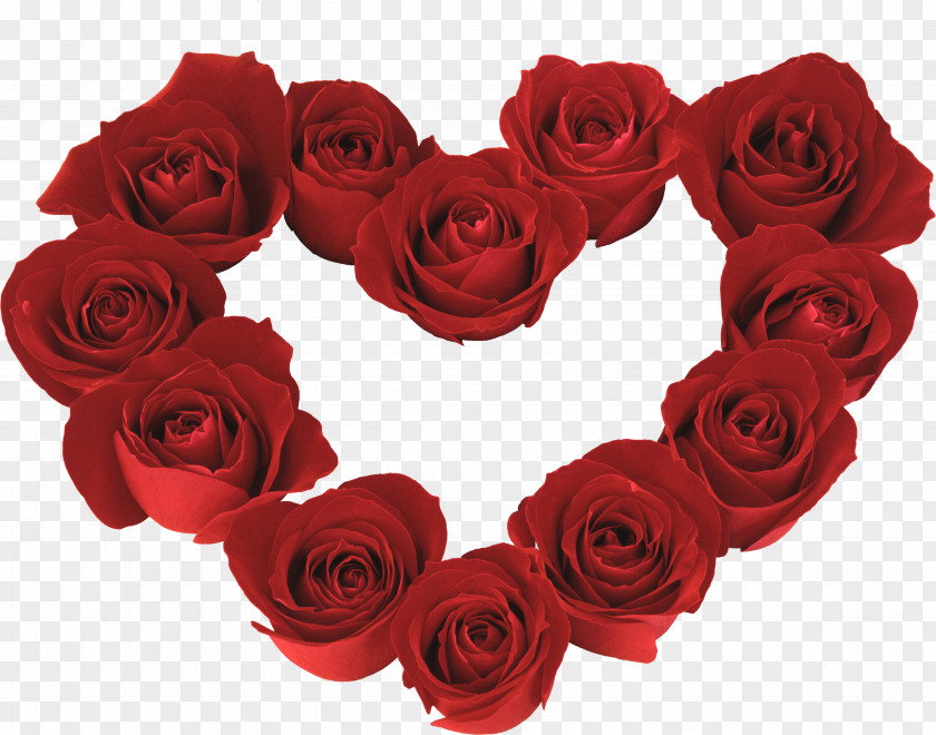 Bouquet Hybrid Tea Rose Valentines Day Heart PNG