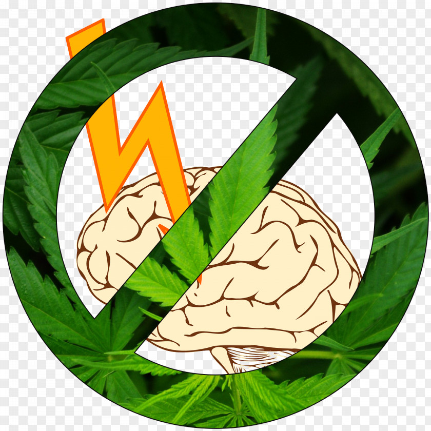 Cannabis Medical Legality Of Legalization Character PNG
