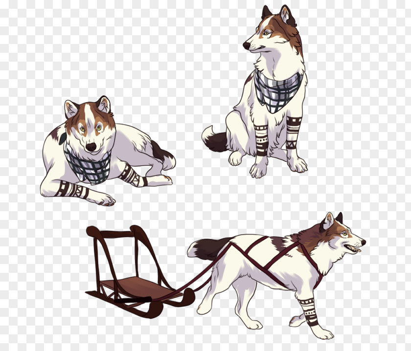 Cat Dog Breed Siberian Husky Leash Illustration PNG